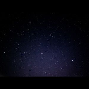 Meet your Posher, Alonzo